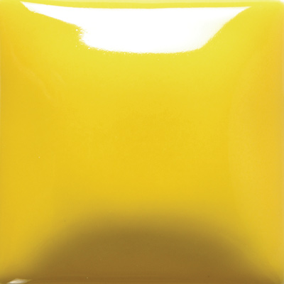 FN02_Yellow
